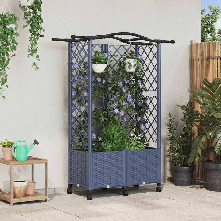 Hævet Bed med Trellis og Tag Grå 122 x 40 x 144 cm PP