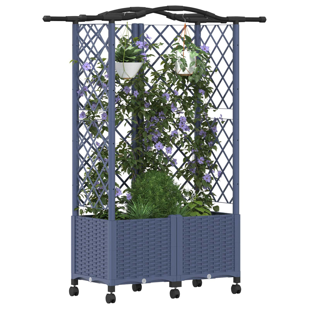 Hævet Bed med Trellis og Tag Grå 122 x 40 x 144 cm PP