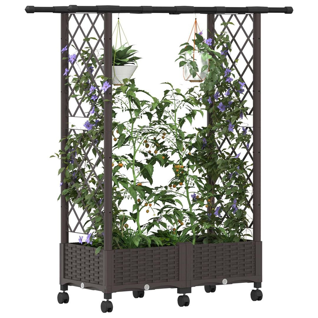 Hævet Bed med Trellis og Tag Brun 122,5 x 40 x 127 cm PP
