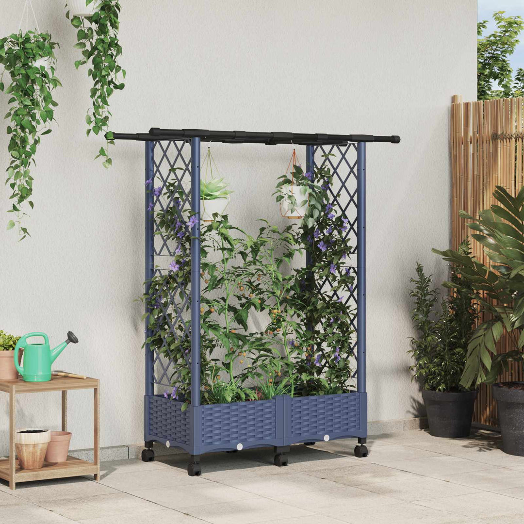 Hævet Bed med Trellis og Tag Grå 122,5 x 40 x 127 cm PP