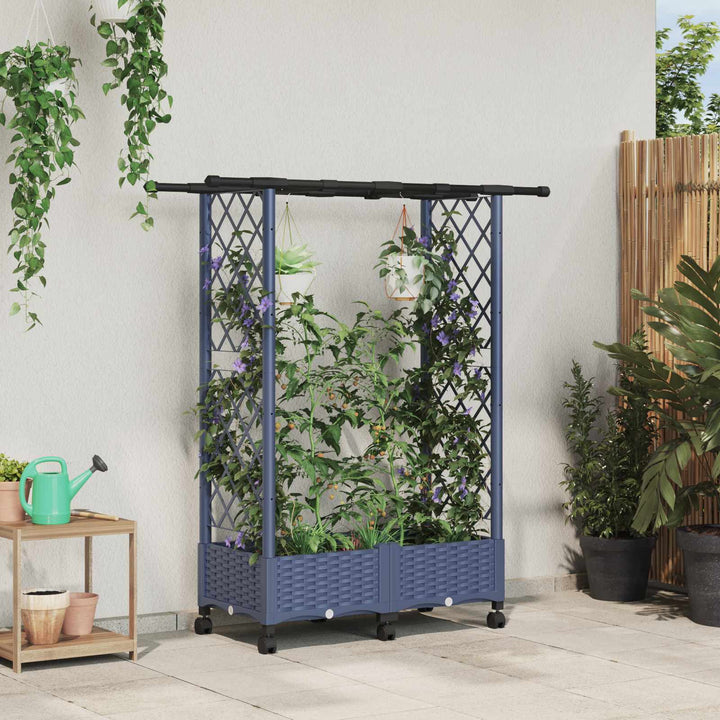 Hævet Bed med Trellis og Tag Grå 122,5 x 40 x 127 cm PP