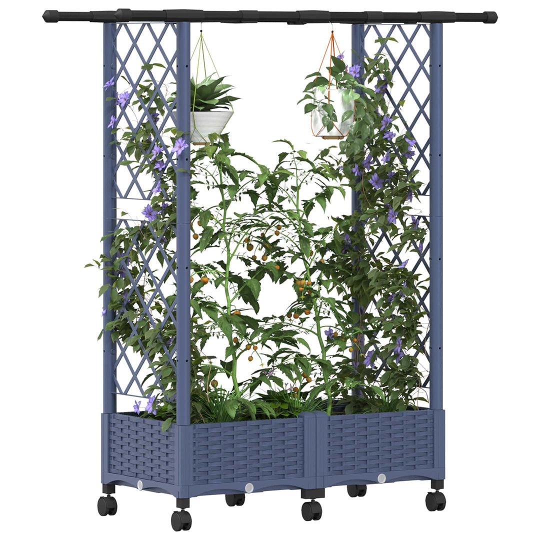 Hævet Bed med Trellis og Tag Grå 122,5 x 40 x 127 cm PP