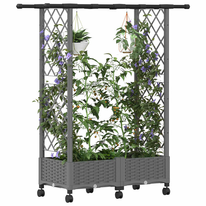 Hævet Bed med Trellis og Tag Lysegrå 122,5 x 40 x 127 cm PP