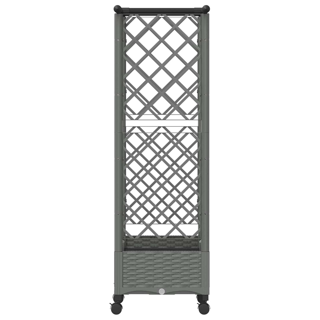 Hævet Bed med Trellis og Tag Lysegrå 122,5 x 40 x 127 cm PP