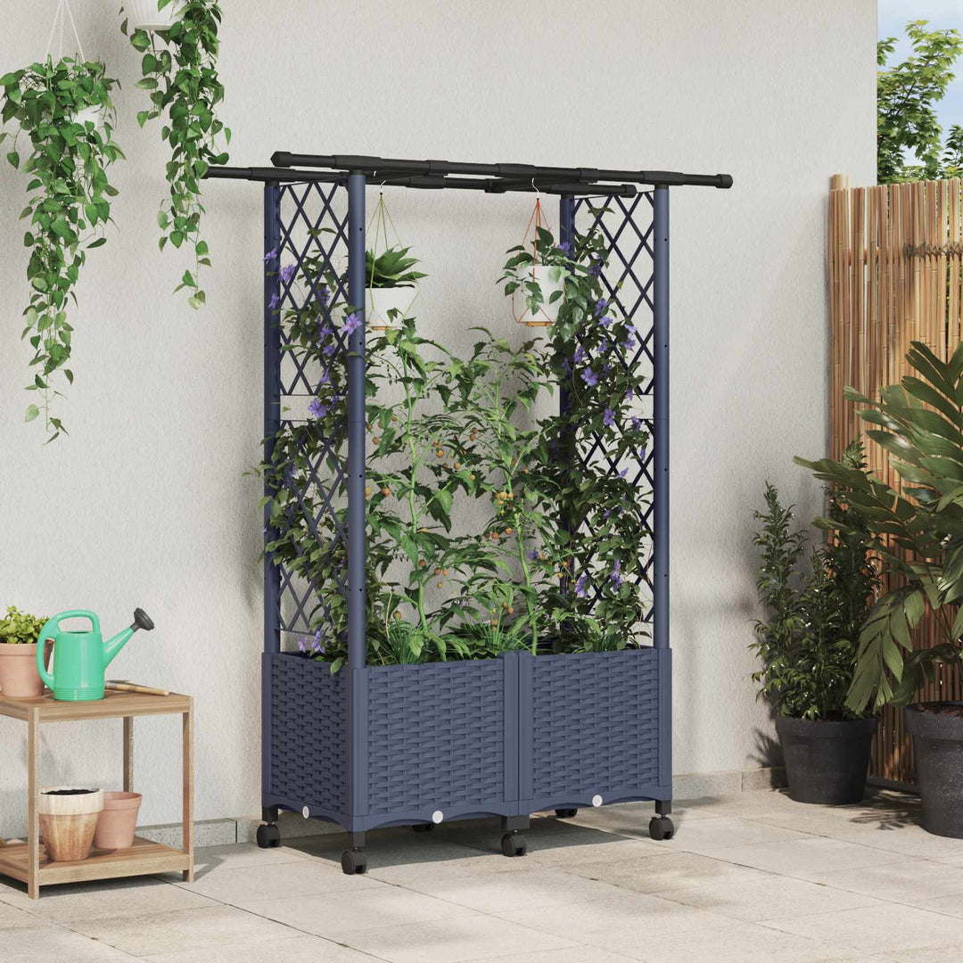 Hævet Bed med Trellis og Tag Grå 124,5 x 40 x 142 cm PP