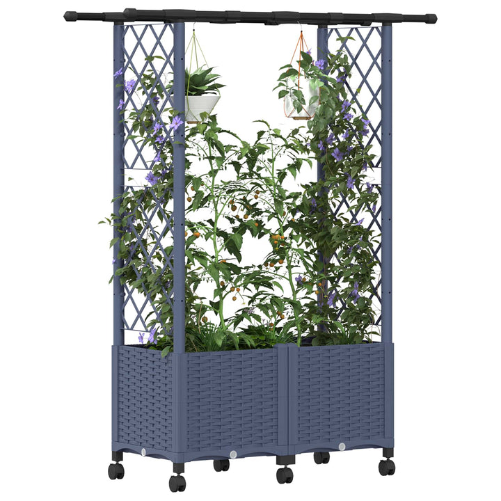 Hævet Bed med Trellis og Tag Grå 124,5 x 40 x 142 cm PP