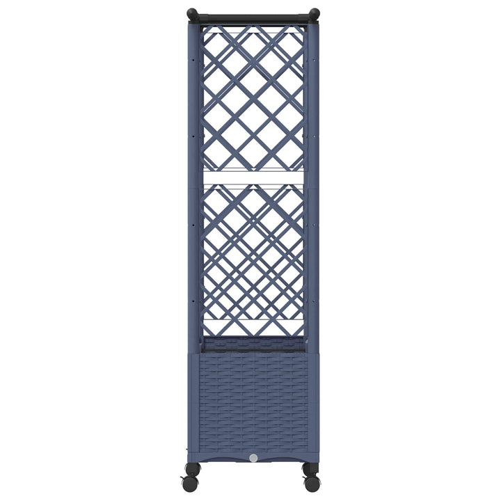 Hævet Bed med Trellis og Tag Grå 124,5 x 40 x 142 cm PP