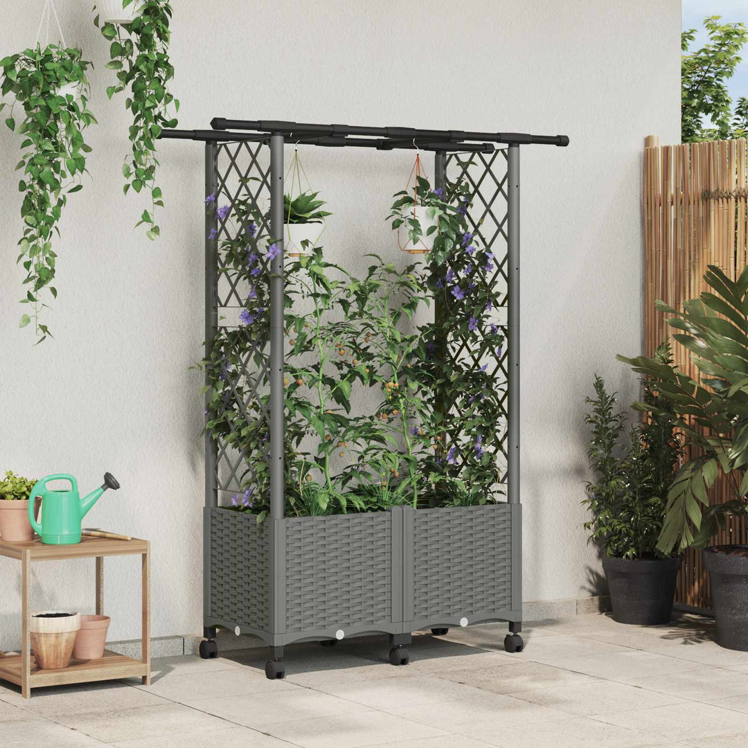 Hævet Bed med Trellis og Tag Lysegrå 124,5 x 40 x 142 cm PP