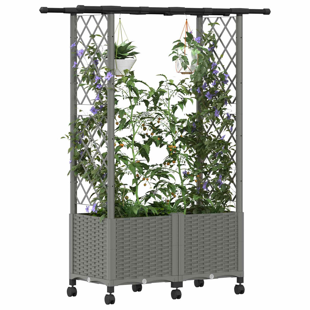 Hævet Bed med Trellis og Tag Lysegrå 124,5 x 40 x 142 cm PP