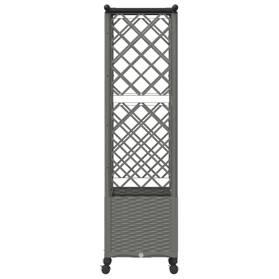Hævet Bed med Trellis og Tag Lysegrå 124,5 x 40 x 142 cm PP