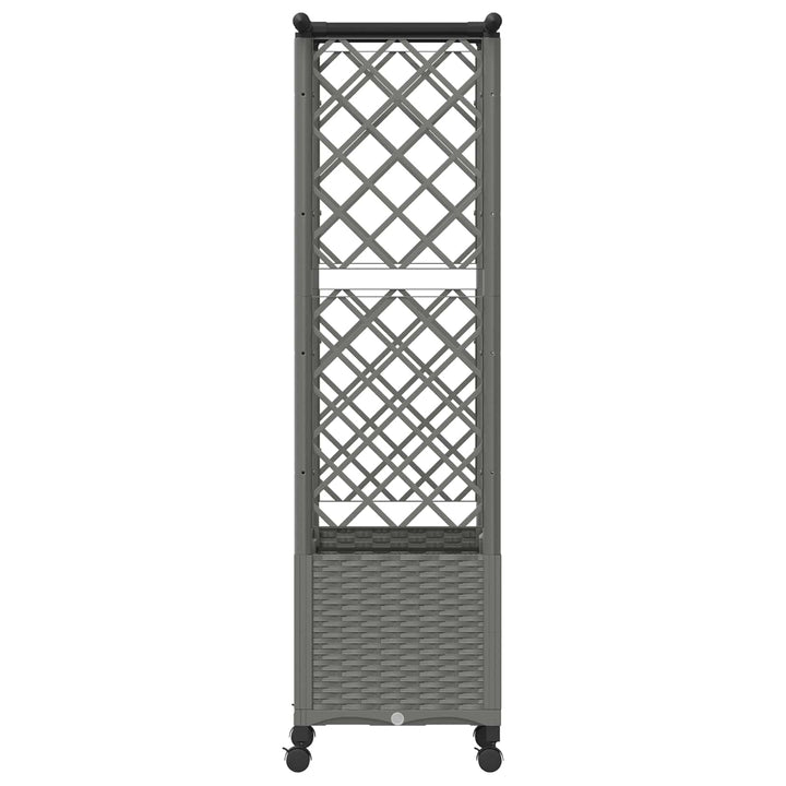 Hævet Bed med Trellis og Tag Lysegrå 124,5 x 40 x 142 cm PP