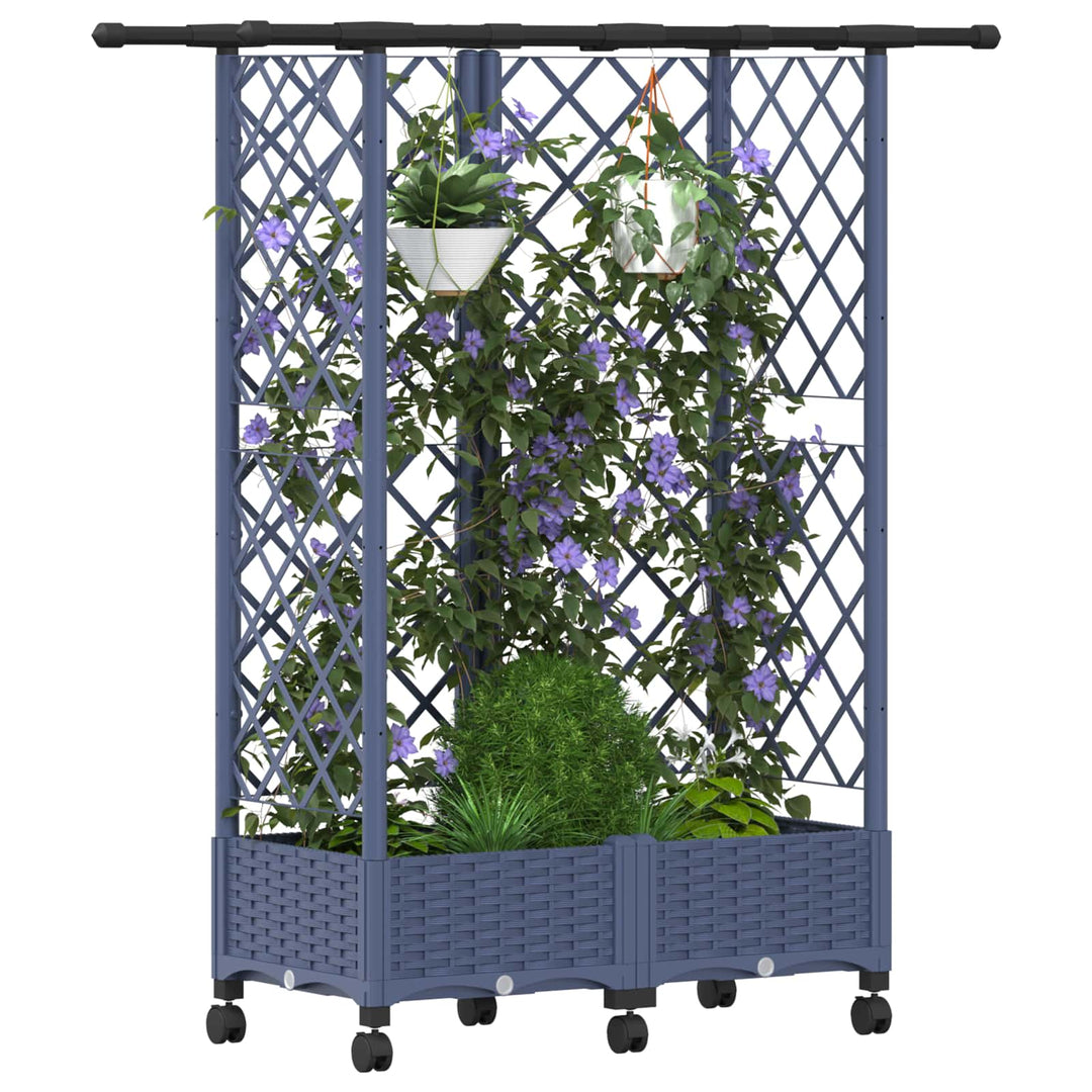 Hævet Bed med Trellis og Tag Grå 124 x 40 x 127 cm PP