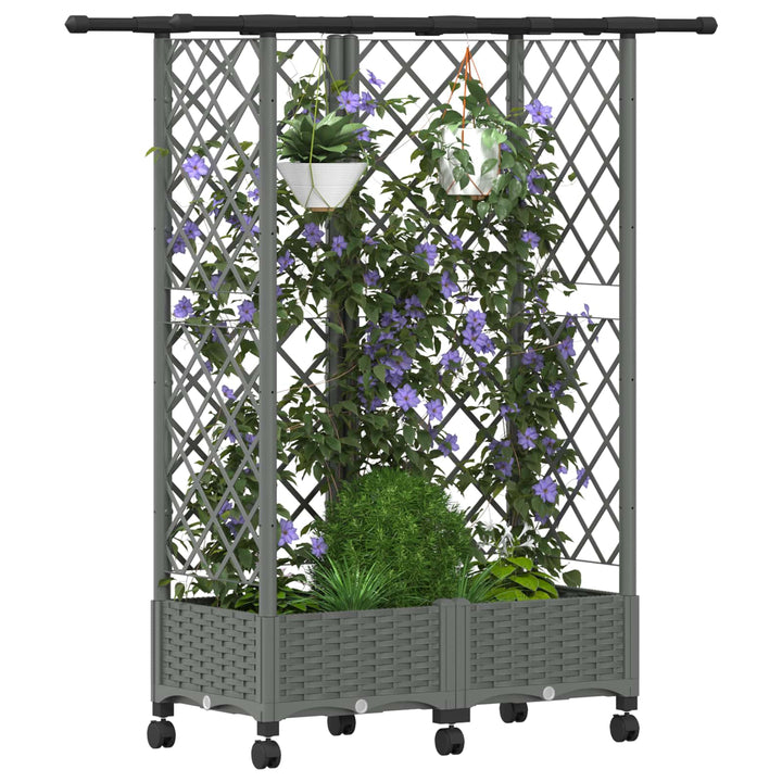 Hævet Bed med Trellis og Tag Lysegrå 124 x 40 x 127 cm PP