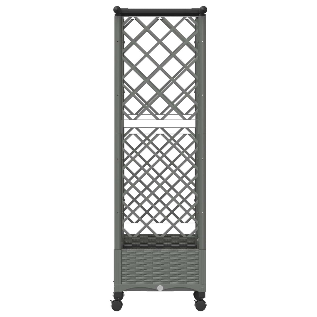 Hævet Bed med Trellis og Tag Lysegrå 124 x 40 x 127 cm PP