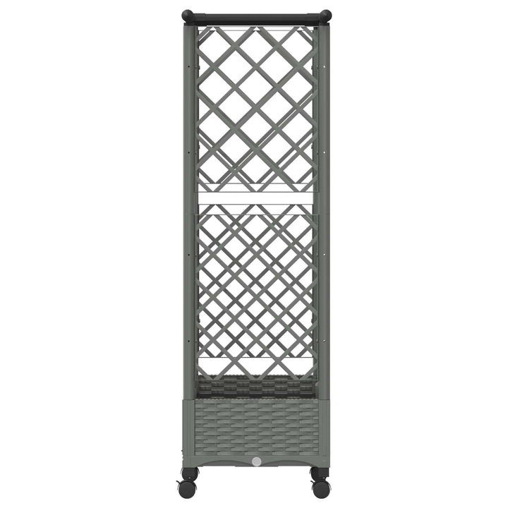 Hævet Bed med Trellis og Tag Lysegrå 124 x 40 x 127 cm PP