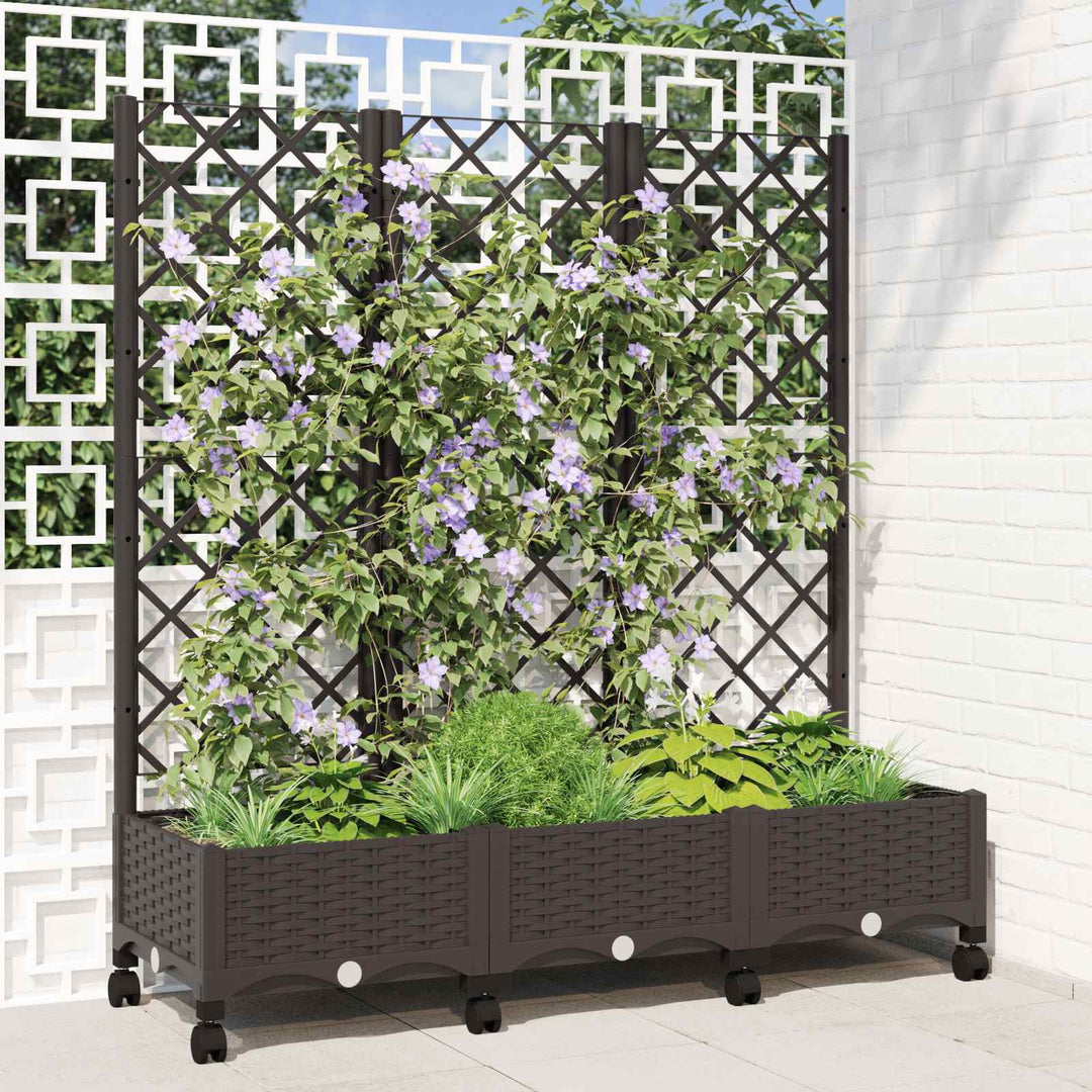 Haveplantekasse med espalier og hjul Brun 120 x 40 x 131,5 cm