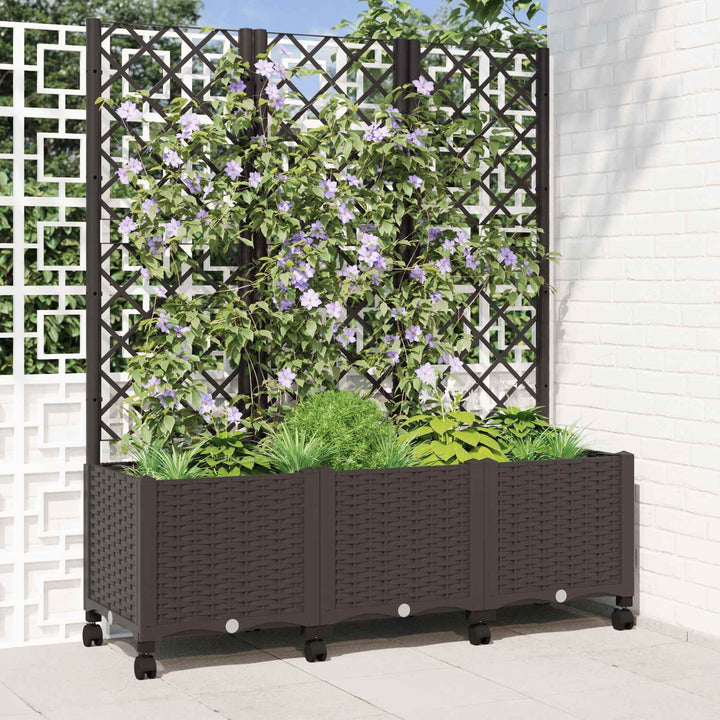 Haveplantekasse med espalier og hjul Brun 120 x 40 x 146 cm PP