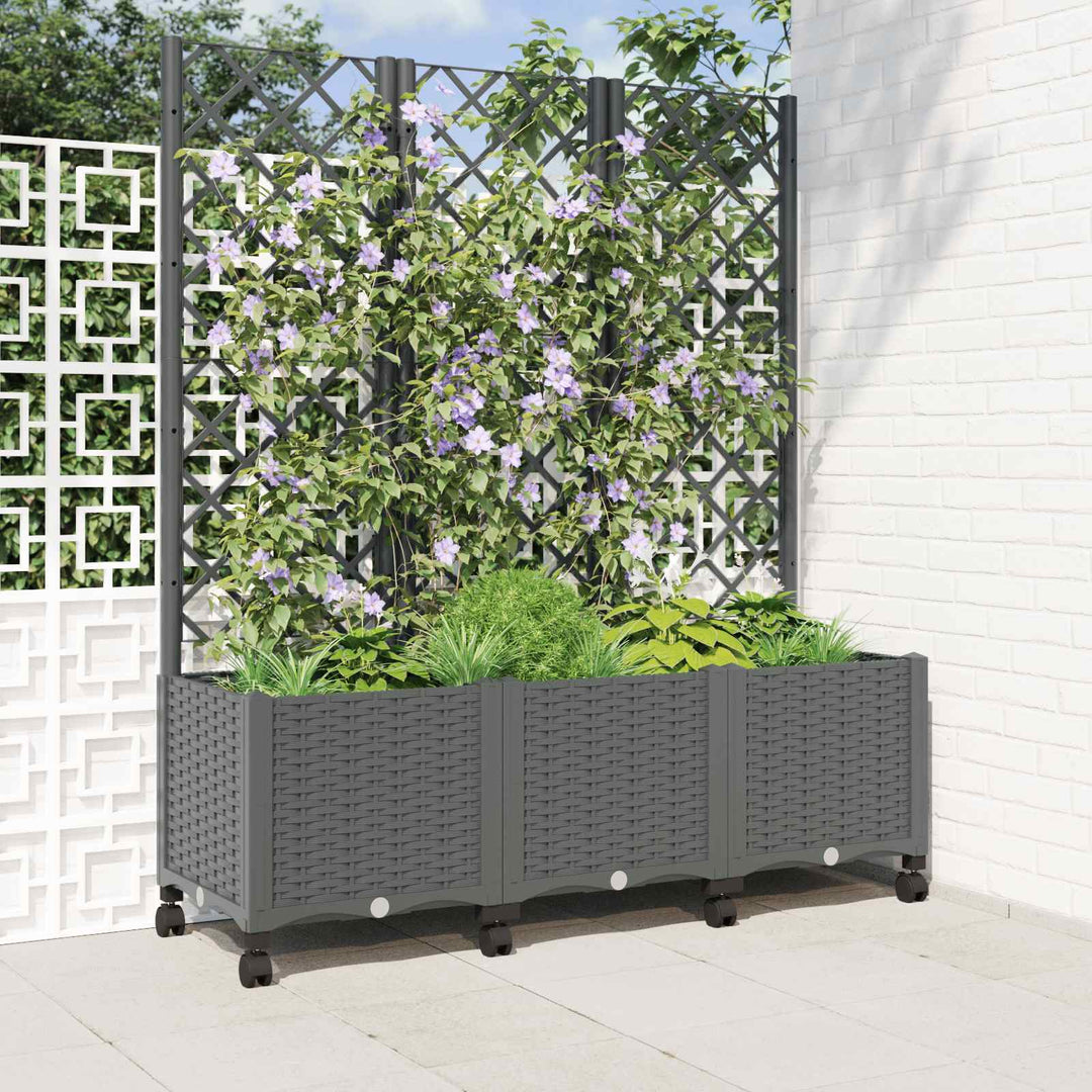Haveplantekasse med espalier og hjul Lysegrå 120 x 40 x 146 cm