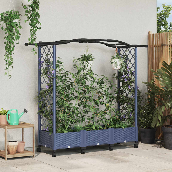 Hævet Bed med Trellis og Tag Grå 169 x 40 x 129 cm PP