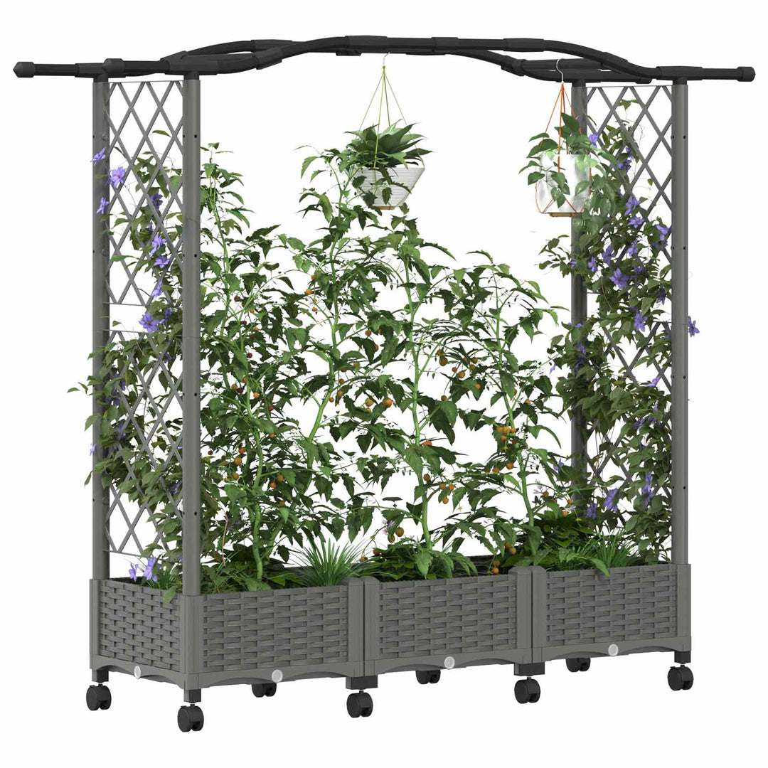 Hævet Bed med Trellis og Tag Lysegrå 169 x 40 x 129 cm PP