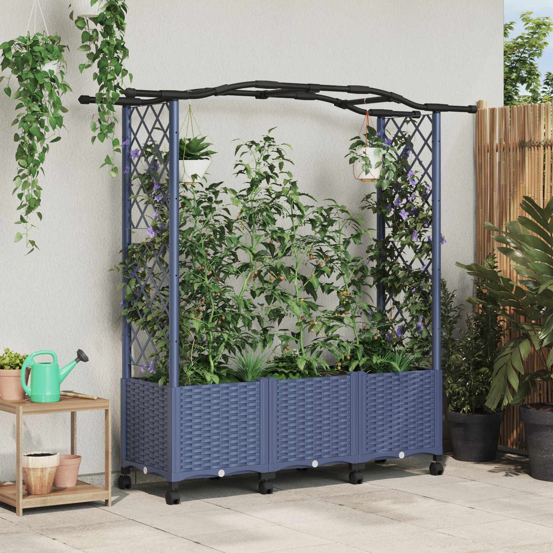 Hævet Bed med Trellis og Tag Grå 164 x 40 x 144 cm PP