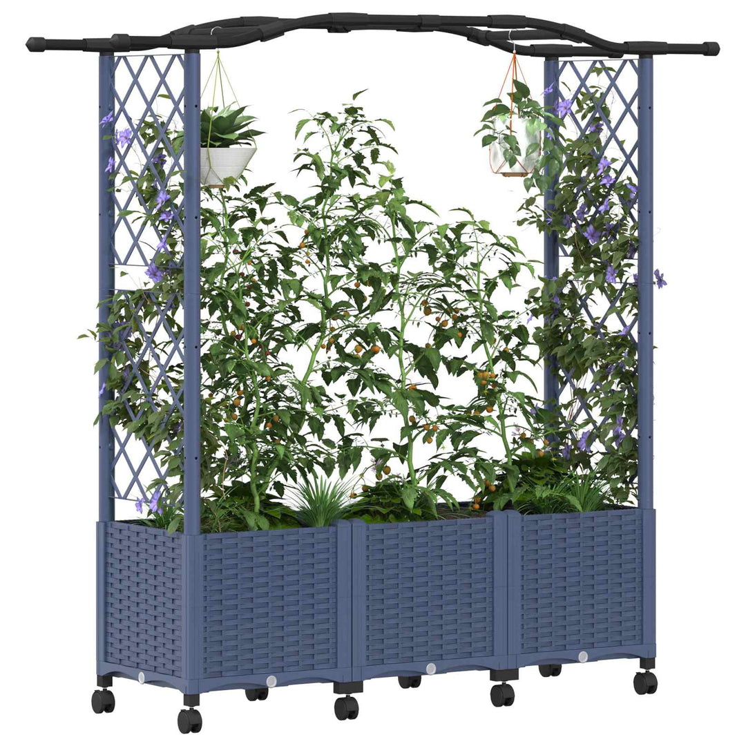 Hævet Bed med Trellis og Tag Grå 164 x 40 x 144 cm PP
