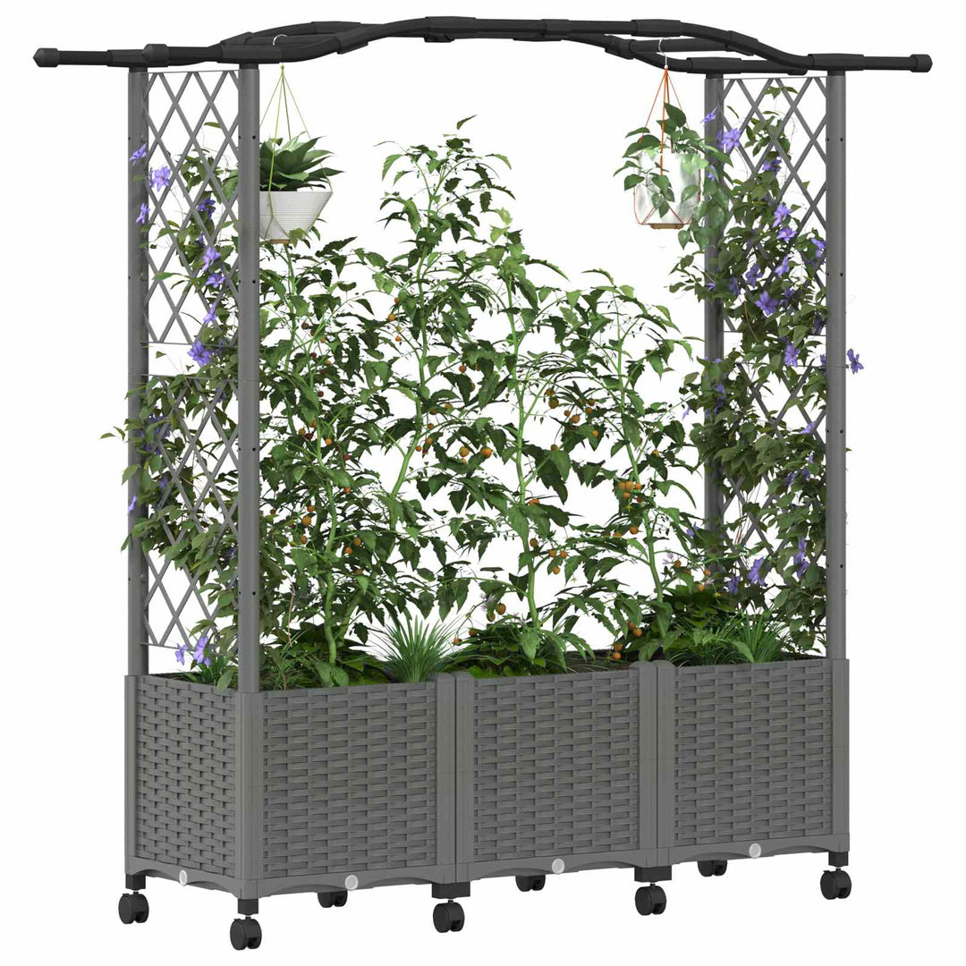 Hævet Bed med Trellis og Tag Lysegrå 164 x 40 x 144 cm PP