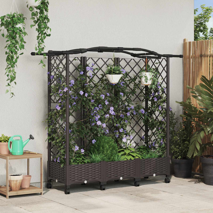 Hævet Bed med Trellis og Tag Brun 163 x 40 x 129 cm PP