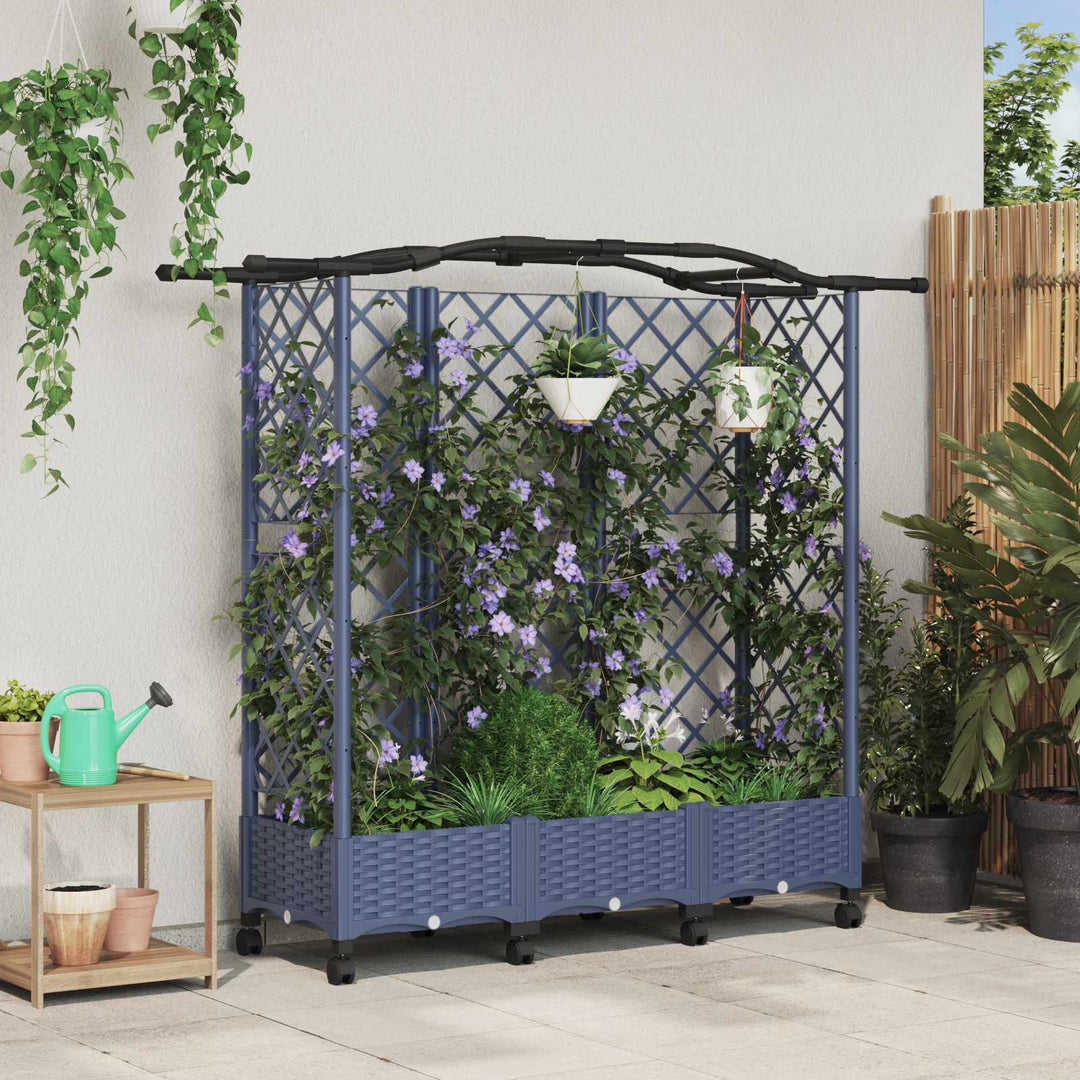 Hævet Bed med Trellis og Tag Grå 163 x 40 x 129 cm PP
