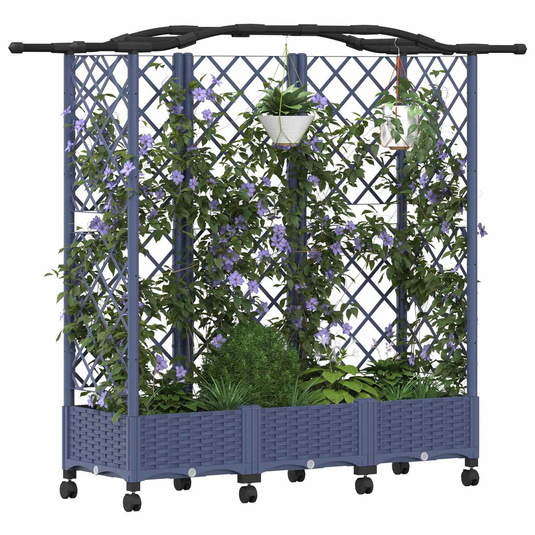 Hævet Bed med Trellis og Tag Grå 163 x 40 x 129 cm PP