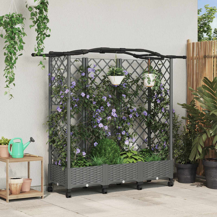 Hævet Bed med Trellis og Tag Lysegrå 163 x 40 x 129 cm PP
