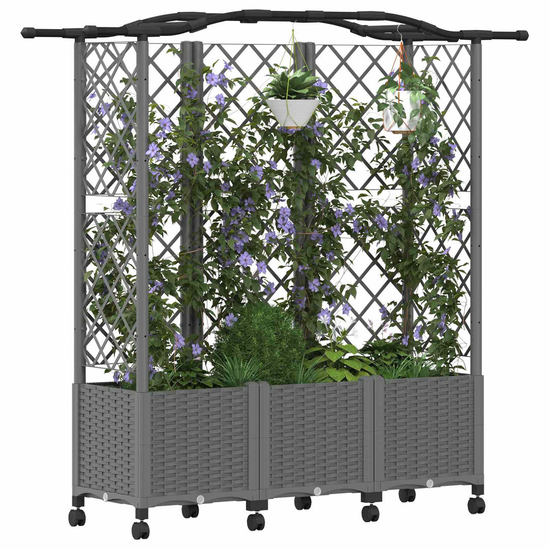 Hævet Bed med Trellis og Tag Lysegrå 163 x 40 x 144 cm PP