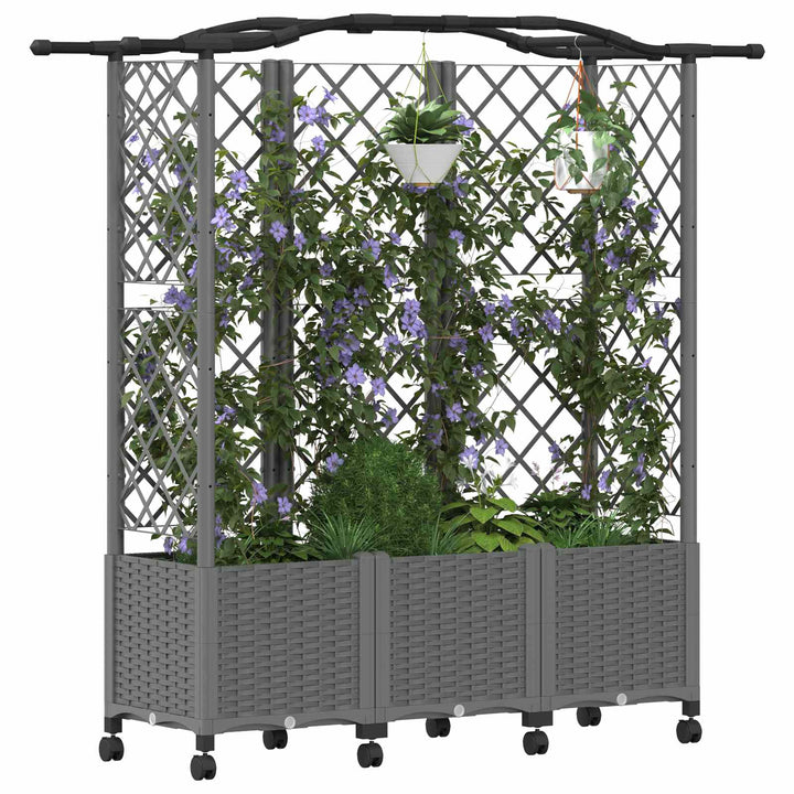 Hævet Bed med Trellis og Tag Lysegrå 163 x 40 x 144 cm PP