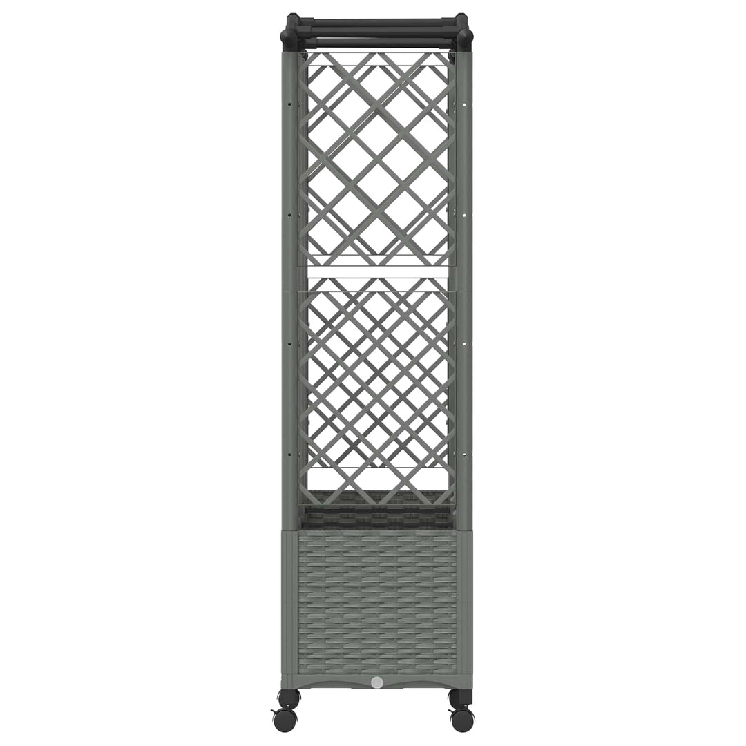 Hævet Bed med Trellis og Tag Lysegrå 163 x 40 x 144 cm PP