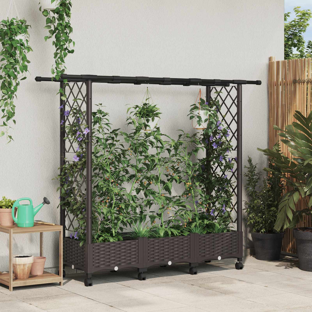 Hævet Bed med Trellis og Tag Brun 164 x 40 x 127 cm PP