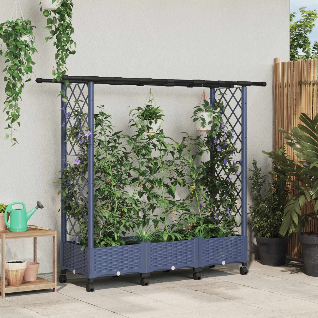 Hævet Bed med Trellis og Tag Grå 164 x 40 x 127 cm PP