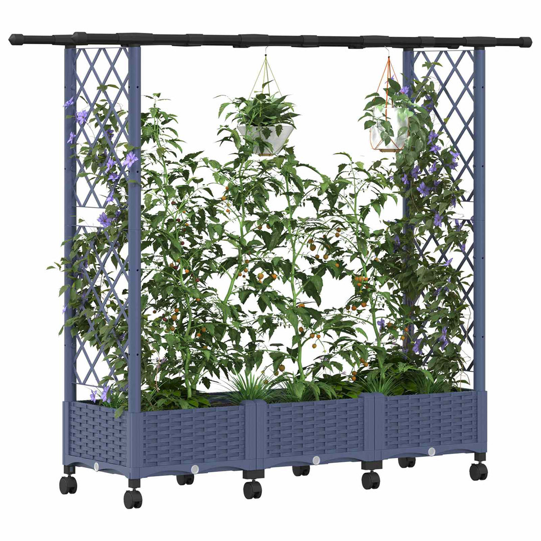Hævet Bed med Trellis og Tag Grå 164 x 40 x 127 cm PP