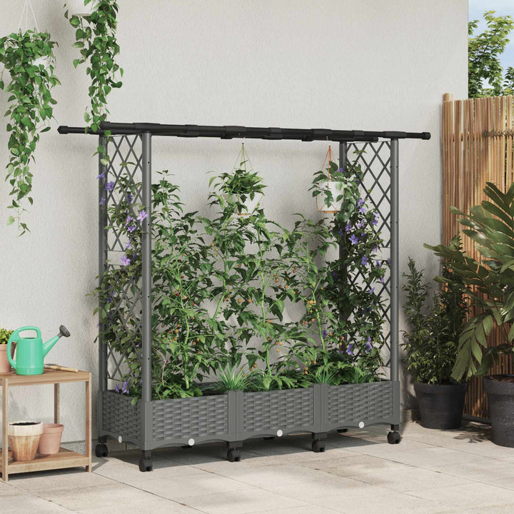 Hævet Bed med Trellis og Tag Lysegrå 164 x 40 x 127 cm PP