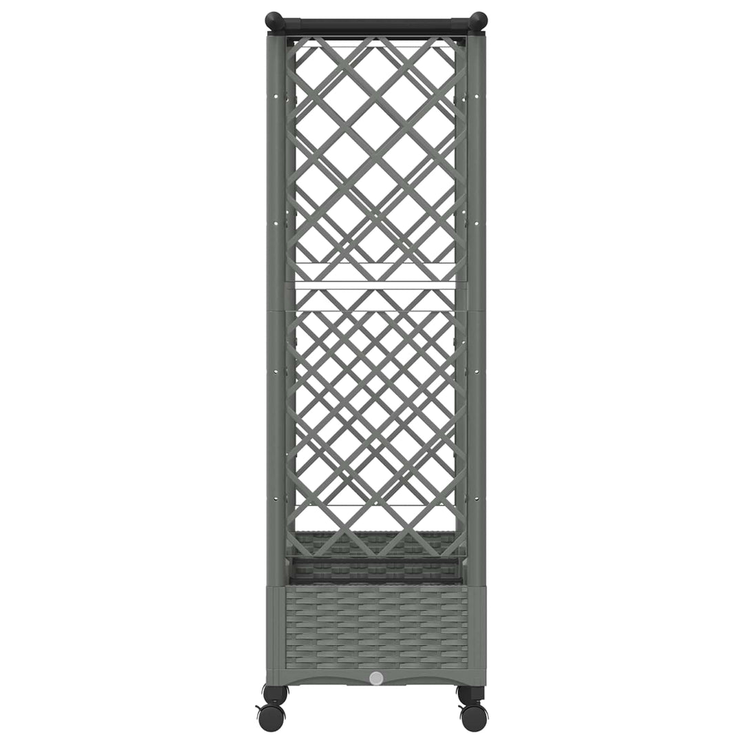 Hævet Bed med Trellis og Tag Lysegrå 164 x 40 x 127 cm PP