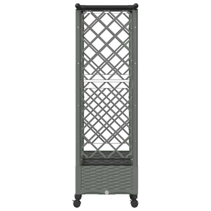 Hævet Bed med Trellis og Tag Lysegrå 164 x 40 x 127 cm PP