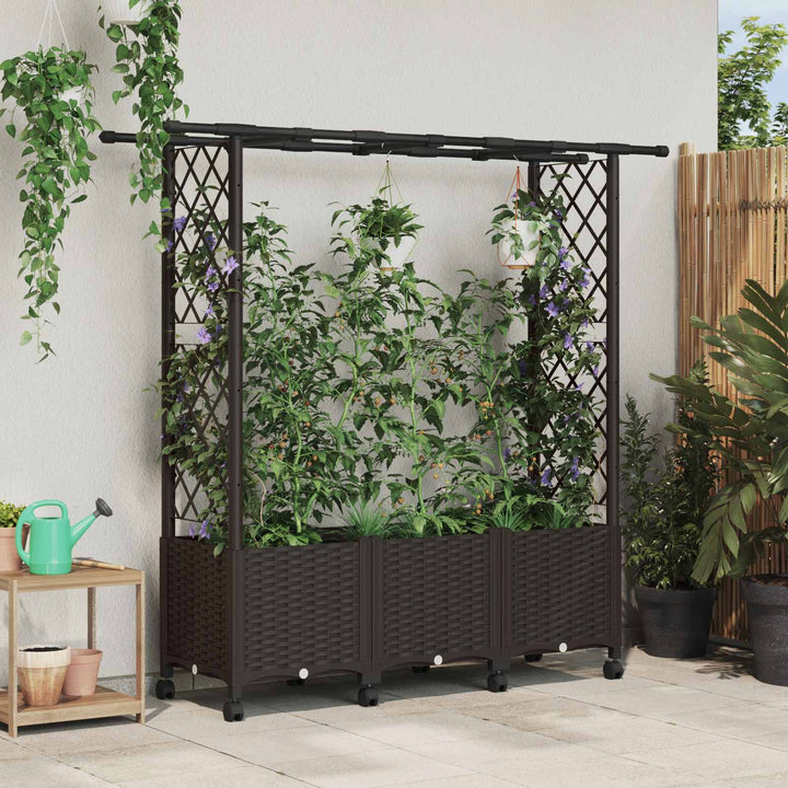 Hævet Bed med Trellis og Tag Brun 162,5 x 40 x 142 cm PP