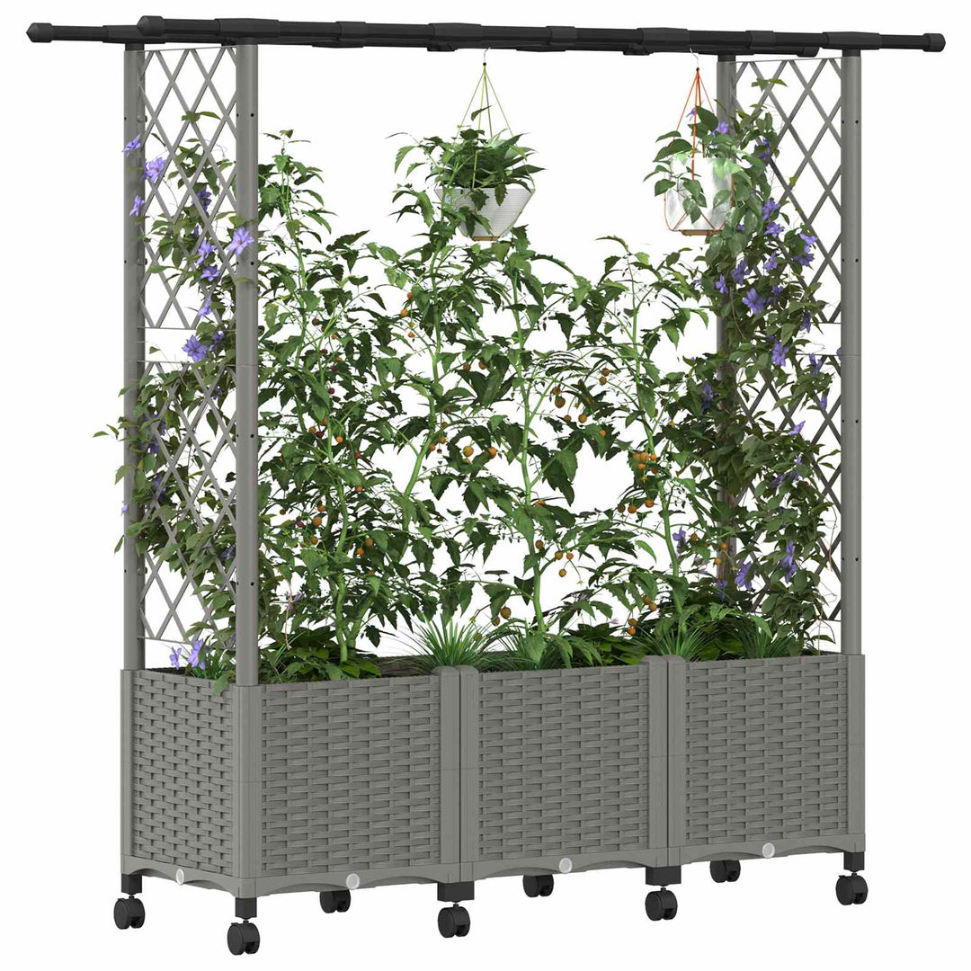 Hævet Bed med Trellis og Tag Lysegrå 162,5 x 40 x 142 cm PP