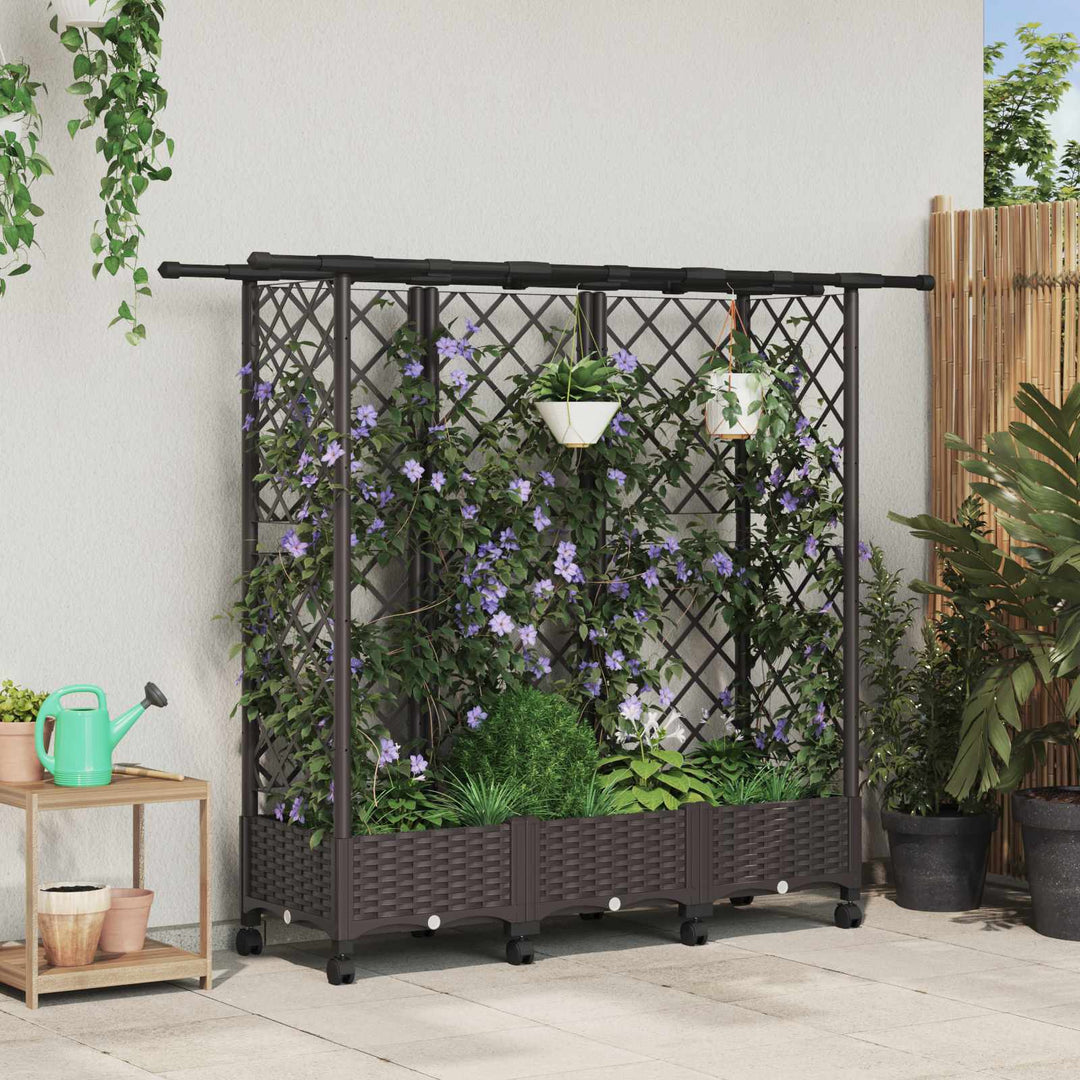 Hævet Bed med Trellis og Tag Brun 164 x 40 x 127 cm PP