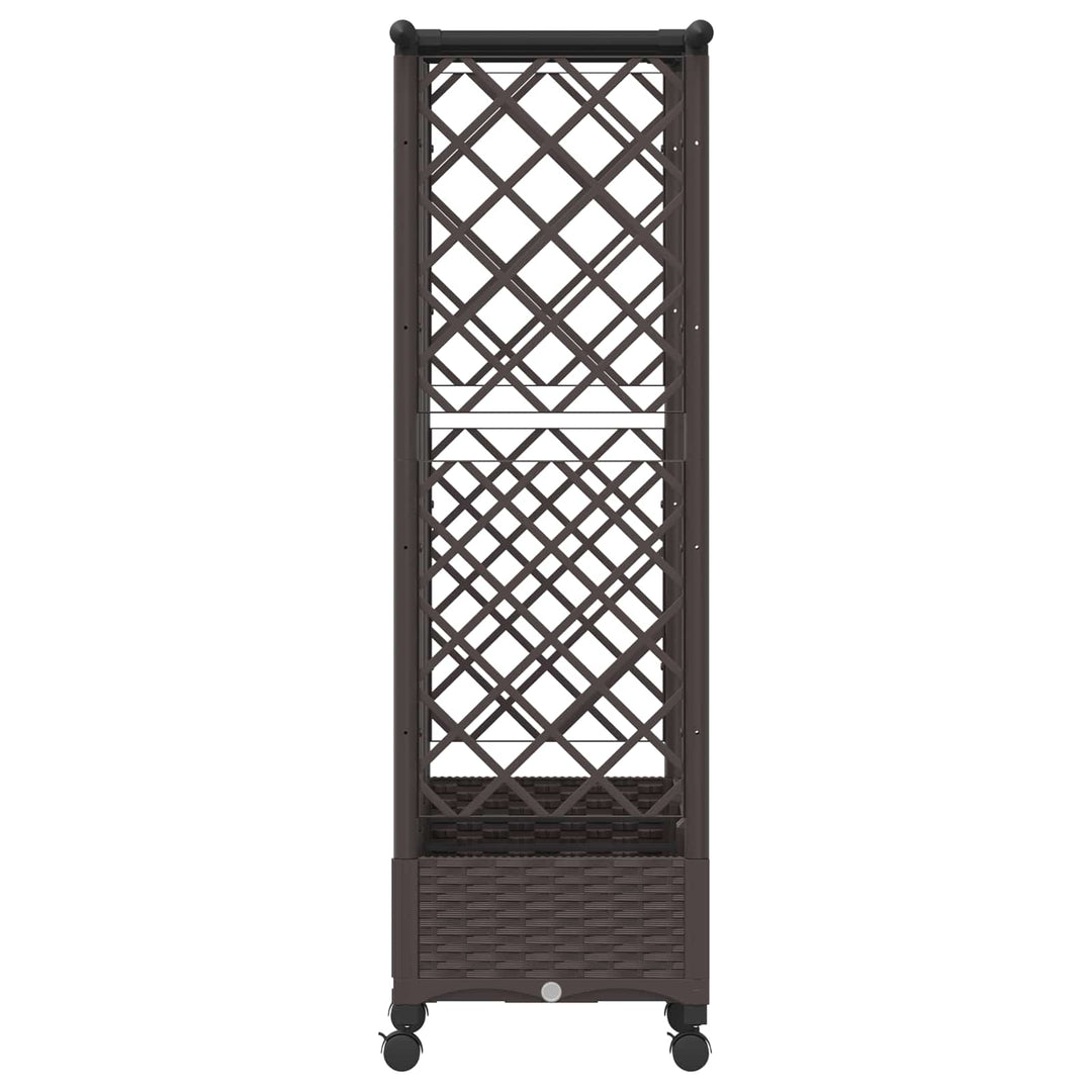 Hævet Bed med Trellis og Tag Brun 164 x 40 x 127 cm PP