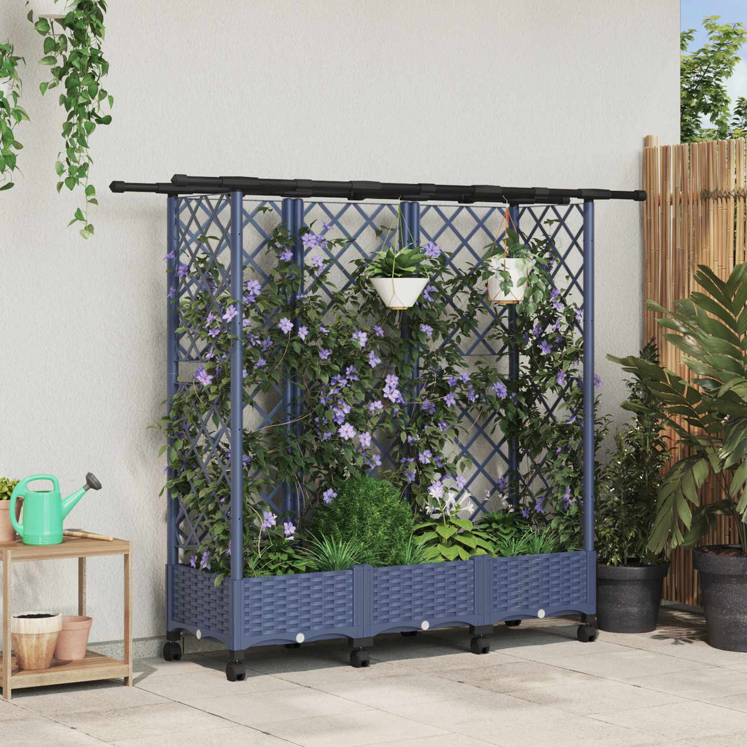 Hævet Bed med Trellis og Tag Grå 164 x 40 x 127 cm PP