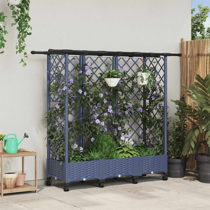 Hævet Bed med Trellis og Tag Grå 164 x 40 x 127 cm PP