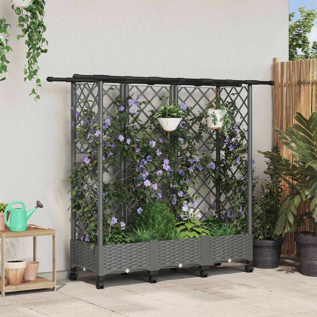 Hævet Bed med Trellis og Tag Lysegrå 164 x 40 x 127 cm PP