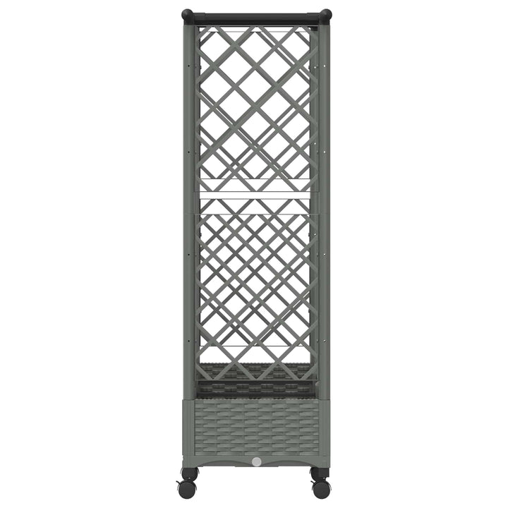 Hævet Bed med Trellis og Tag Lysegrå 164 x 40 x 127 cm PP