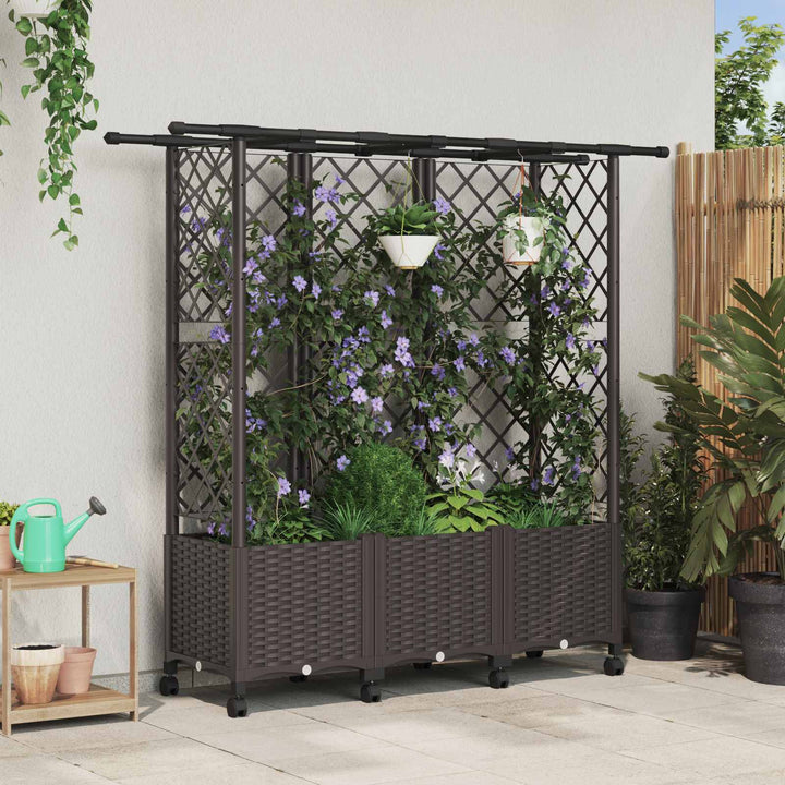 Hævet Bed med Trellis og Tag Brun 163,5 x 40 x 142 cm PP
