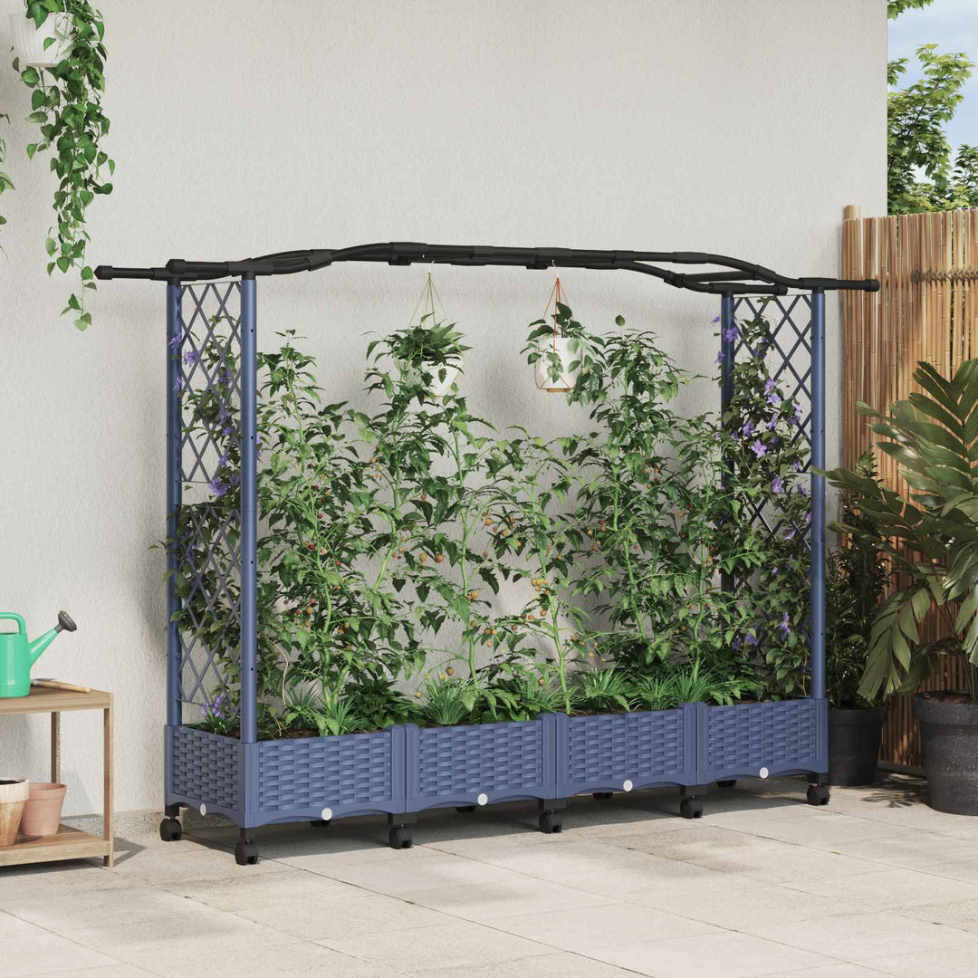 Hævet Bed med Trellis og Tag Grå 207 x 40 x 129 cm PP